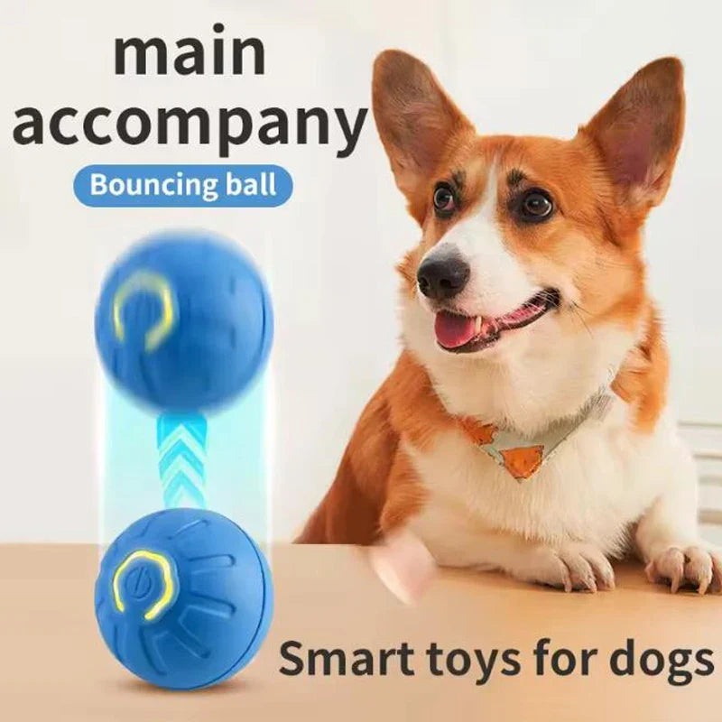 Pet Toys