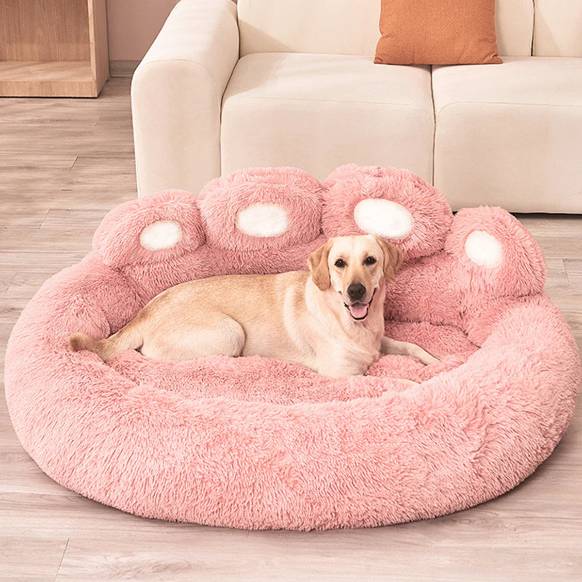 Dog & Cat Beds