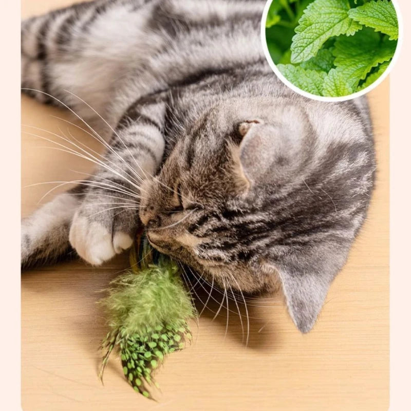 Indoor Interactive Birds Toy for Cat Chasing Teasing Toy Sounding Catnip Cat Teaser Toy Self-hilarity Wall Hanging Birds Cat Toy