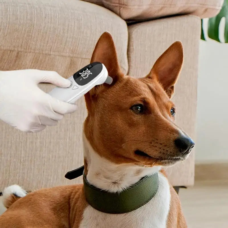 Pet Ear Thermometers