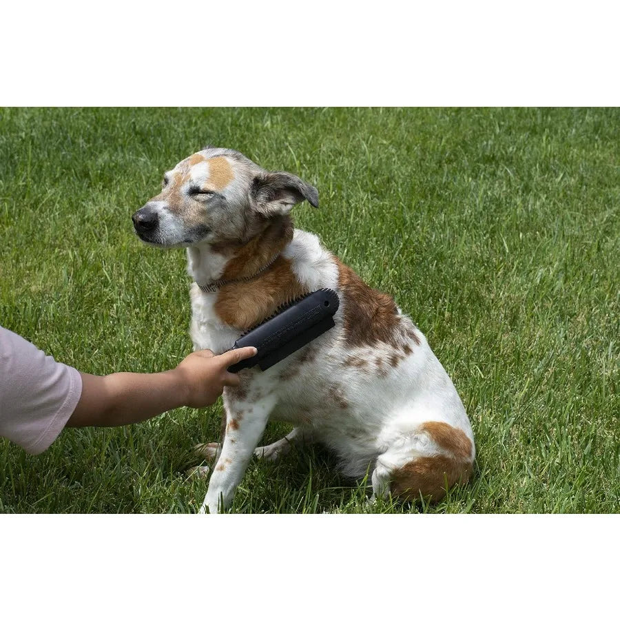 Plus Pet Hair Rubber Brush with Squeegee Easily Remove Fur and Lint from Clothing Carpets and Furniture Gently Groom Dogs and C