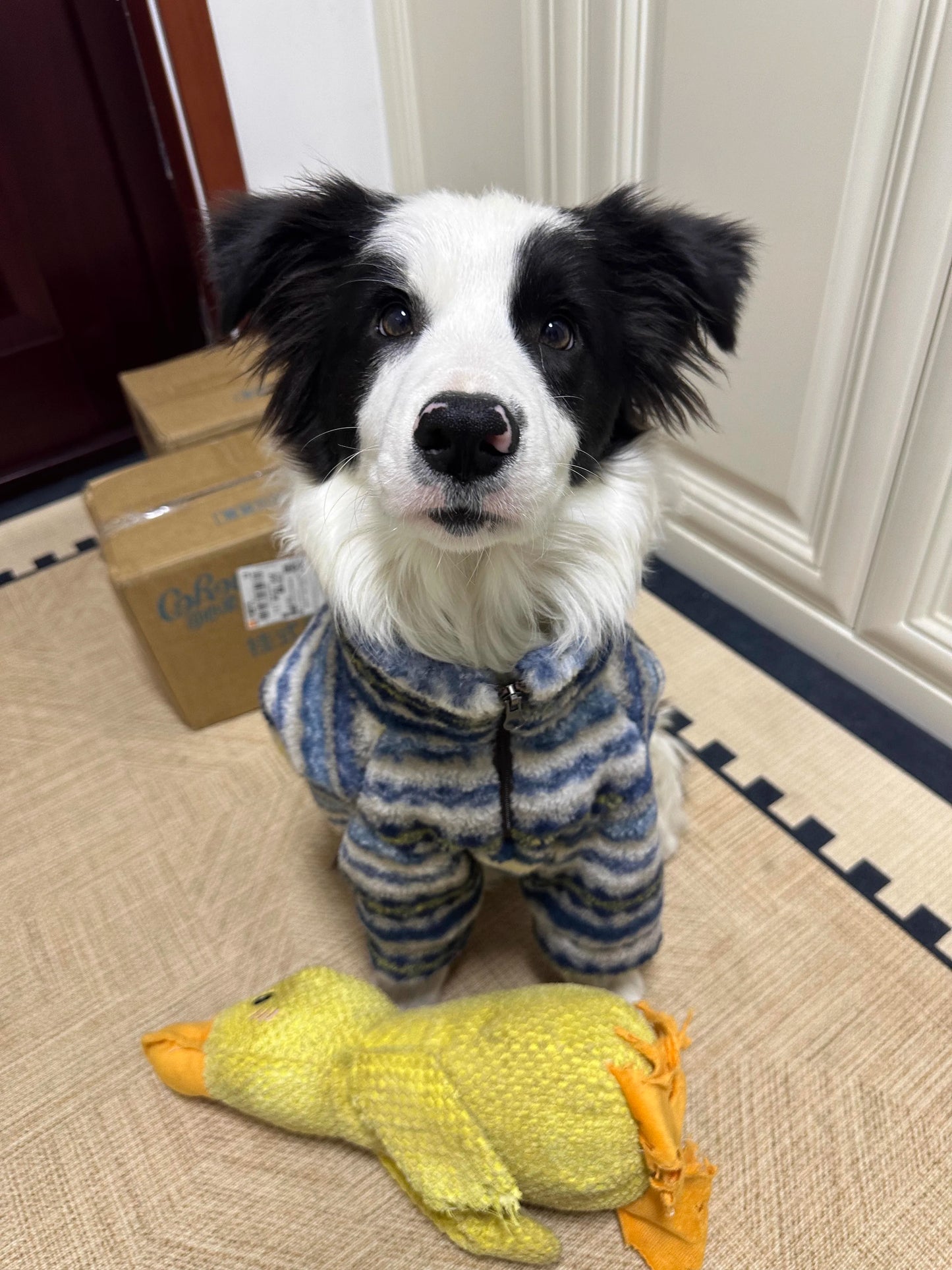 Turtleneck Dog Sweater for Medium Large Dogs, Thick Thermal Fleece Cold Weather Coats with Half Zipper Jumper Winter Pet Clothes