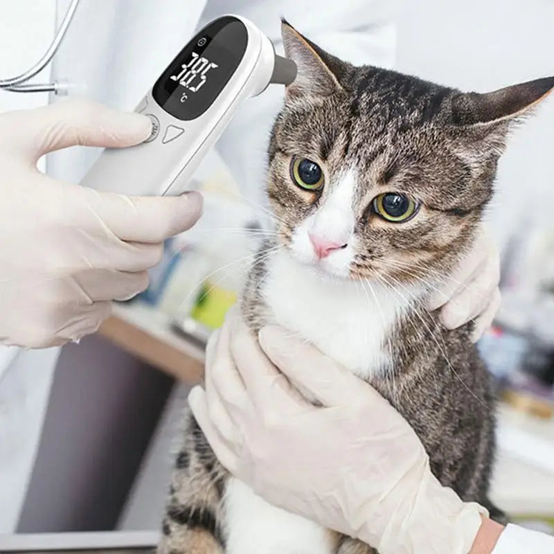 Pet Ear Thermometers