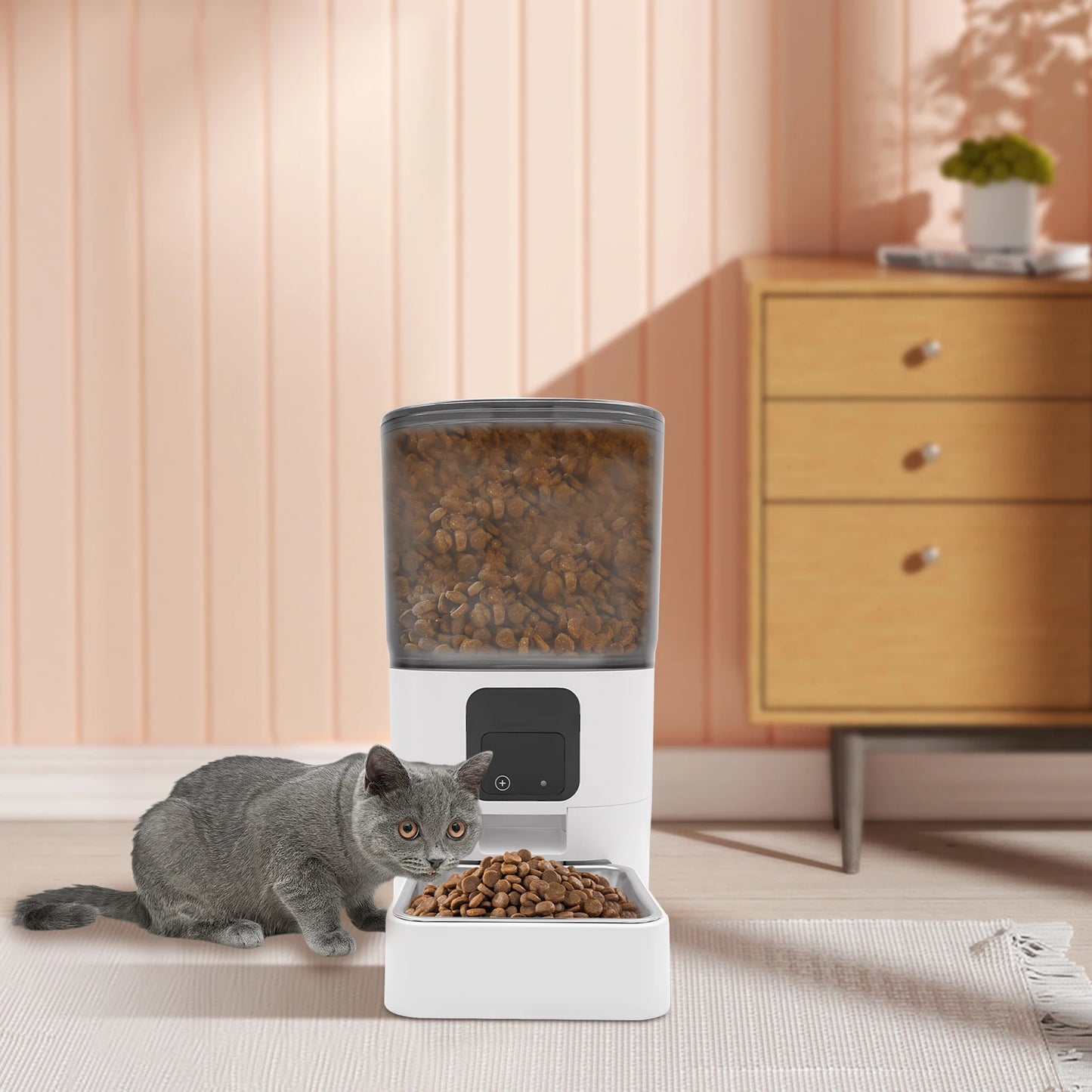 6L Automatic Pet Feeder Remote APP Control Smart Pet Food Dispenser 220V/110V Timing Feeder for Small Cats and Dogs