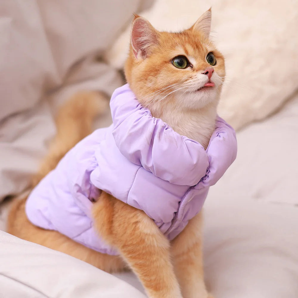 Soft Warm Dog Clothes Winter Padded Puppy Cat