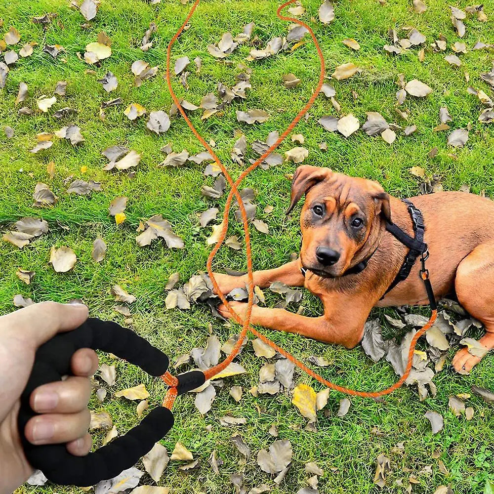 Dog Leash Reflective Long Lead Training Tracking Line